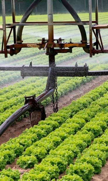 banner-agricultura banner-agricultura